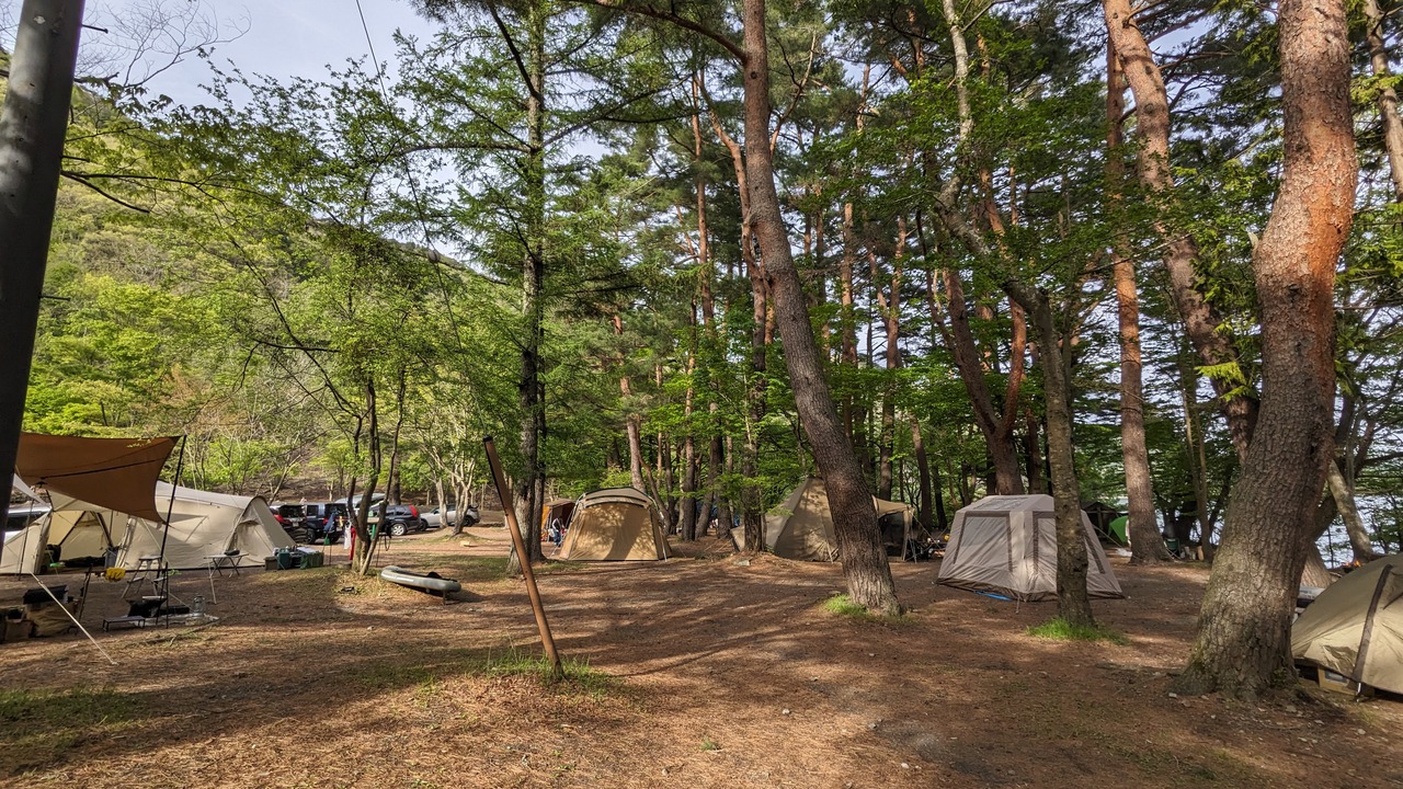 浩庵キャンプ場 午後 林間 山寄り